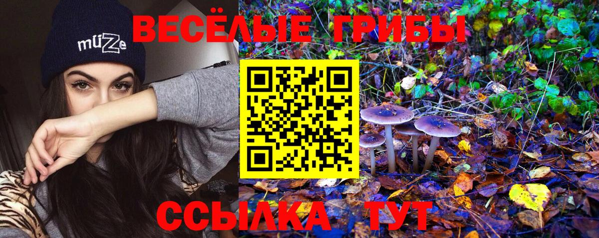 как найти закладки  Галлюциногенные грибы Magic Shrooms  Вход с VPN  Кашира 